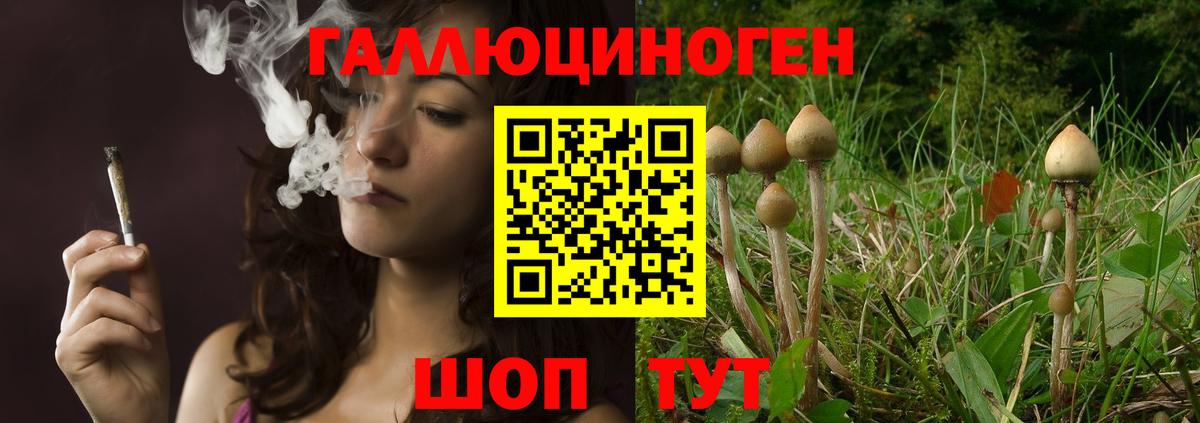 Галлюциногенные грибы Psilocybine cubensis  Вход с VPN  Галлюциногенные грибы мухоморы  Златоуст 